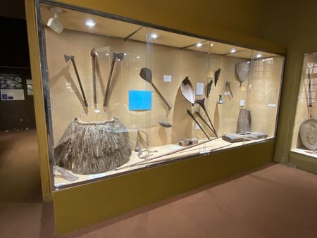 La salle de l'Océanie du muséum d'histoire naturelle de Perpignan