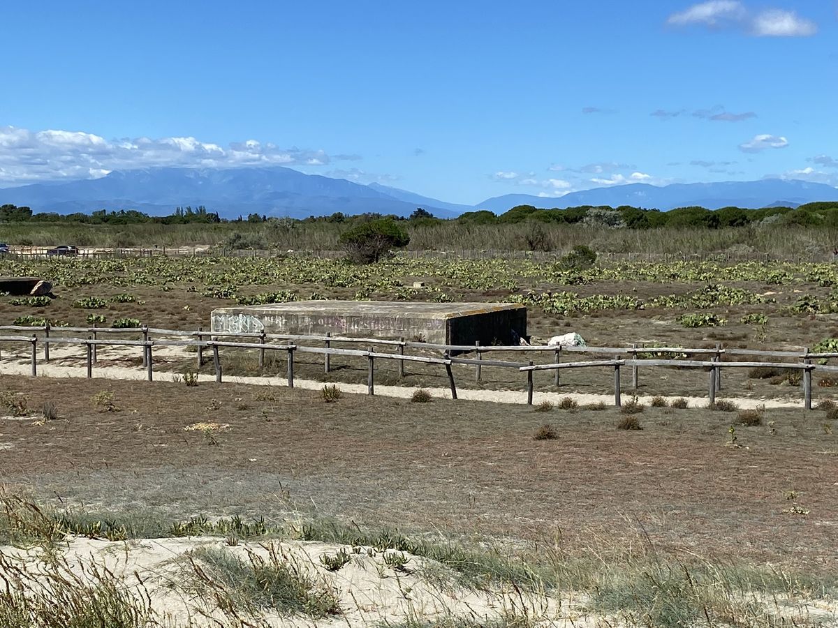 Bunkers de Torreilles