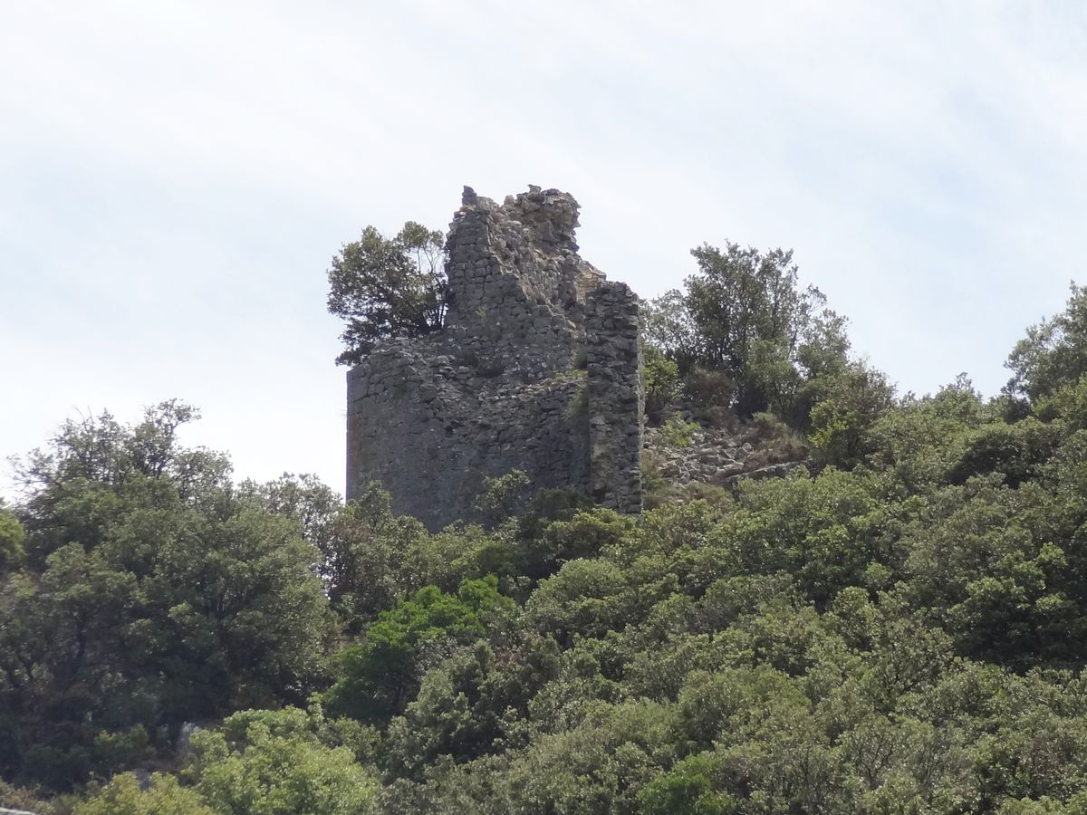 Castel Fizel