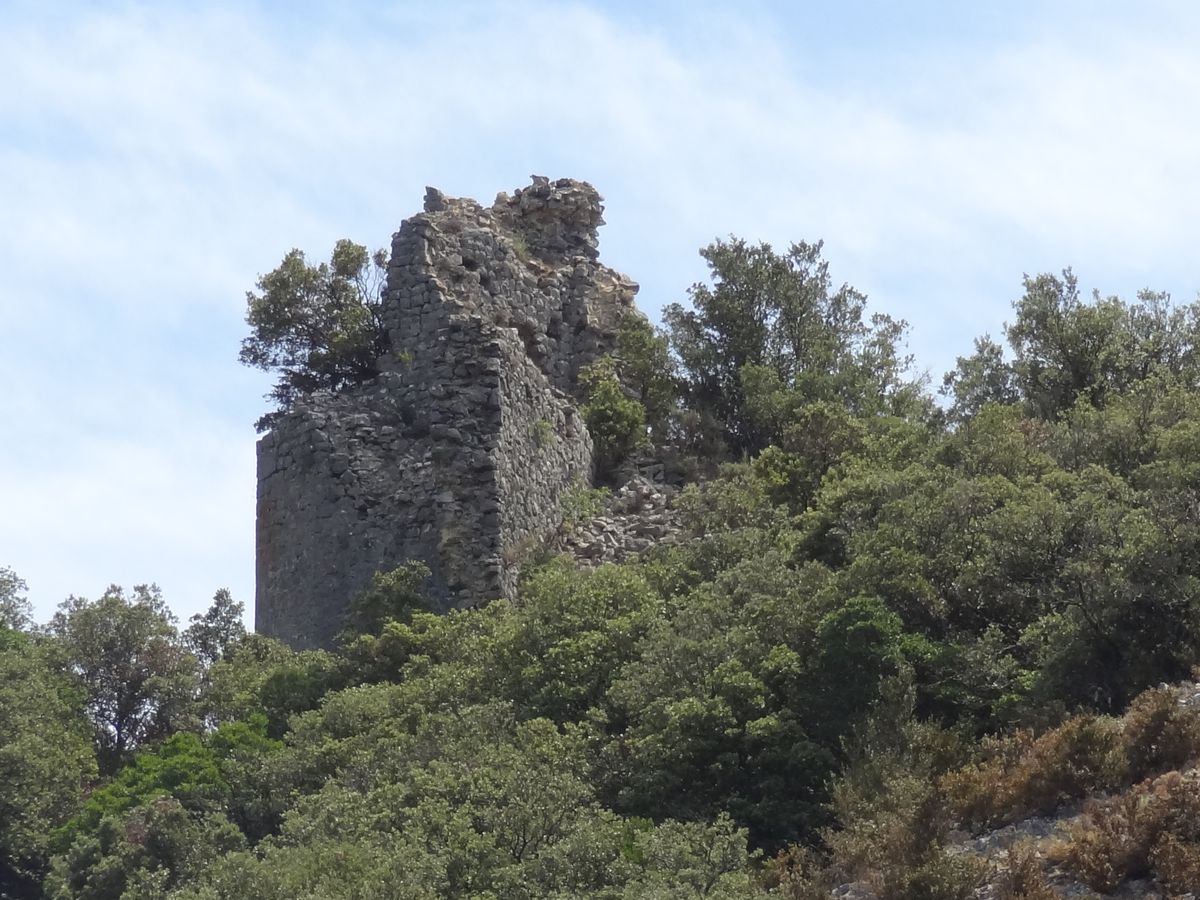 Castel Fizel