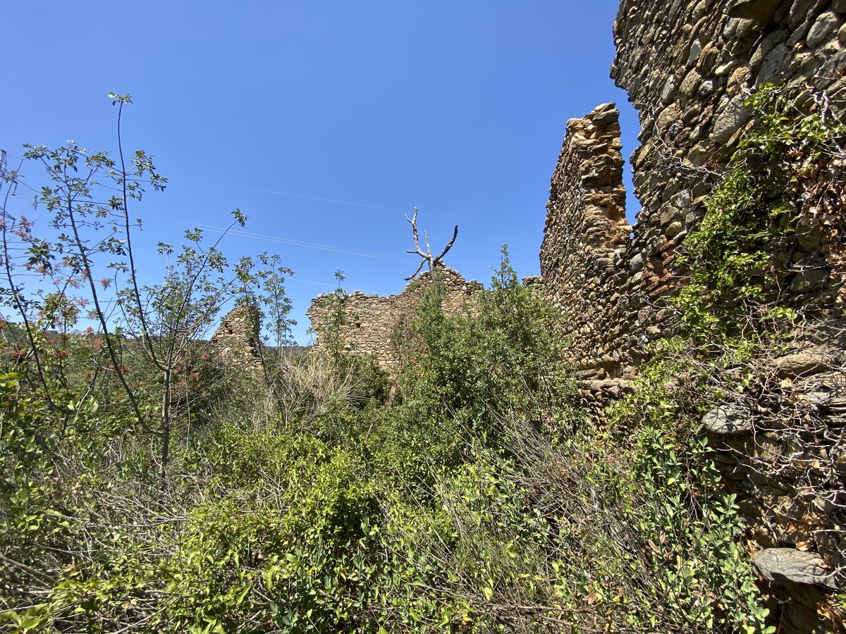 Château d'Espira-de-Conflent