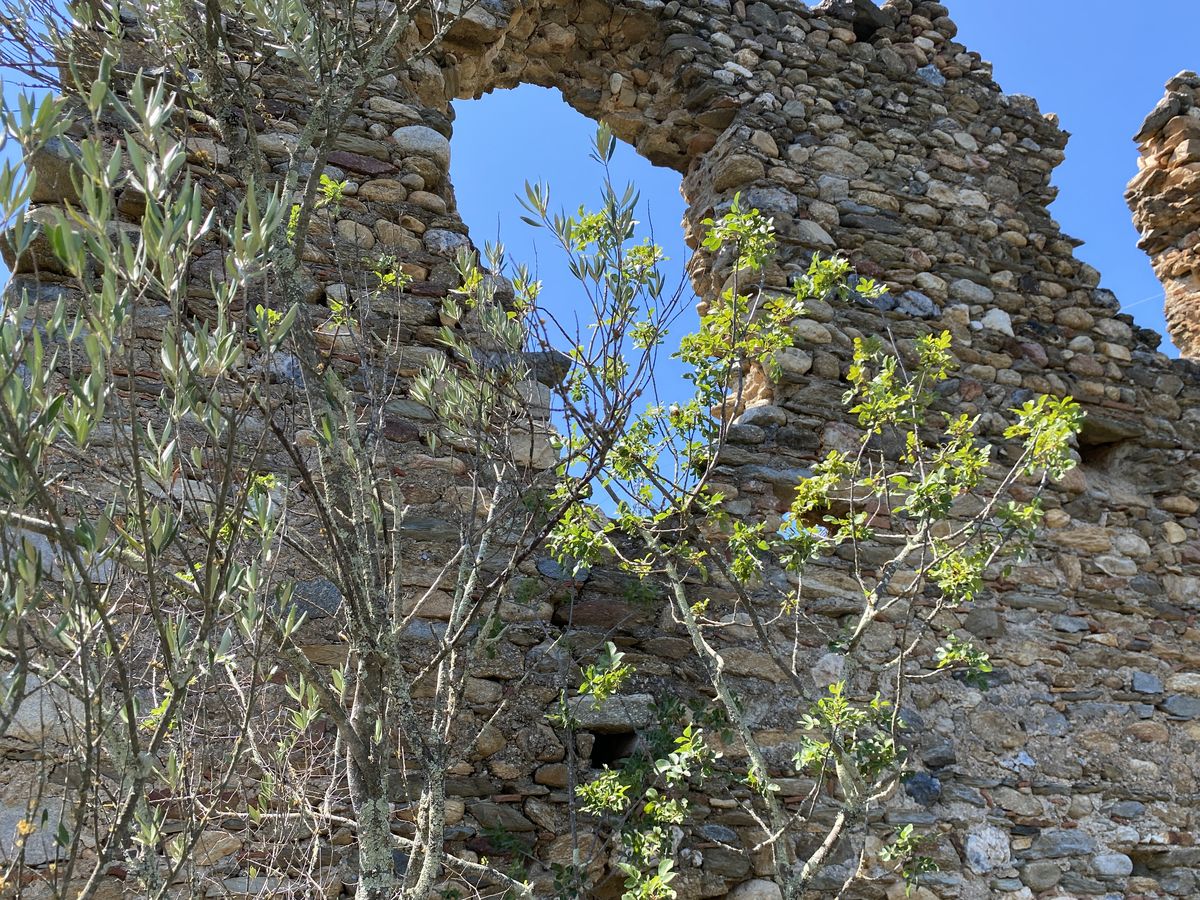 Château d'Espira-de-Conflent