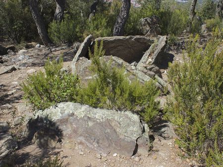 Le dolmen du Collet de Collioure.