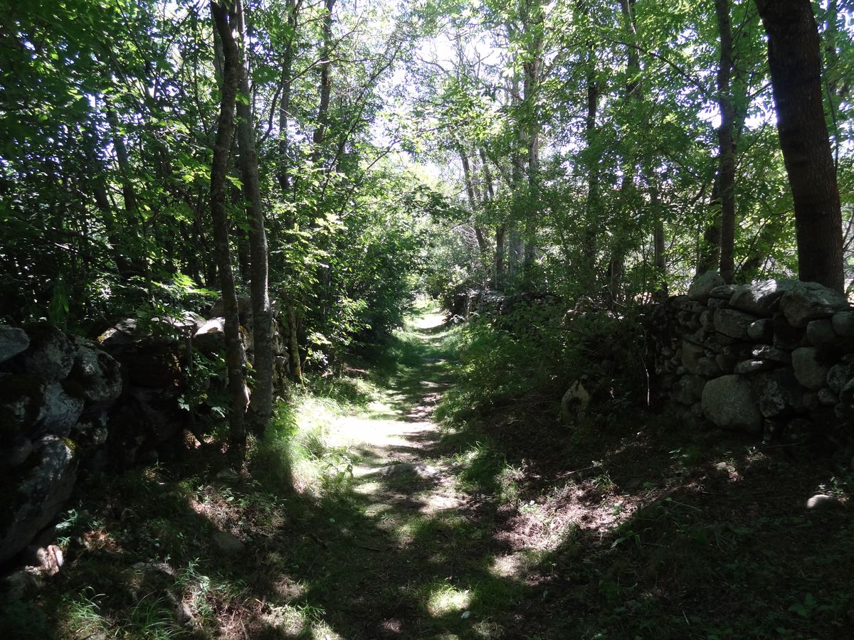 Dolmen de Brangoly