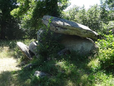 Le dolmen d'En Caballer, à Enveitg