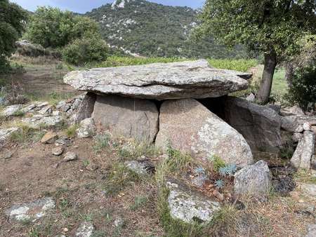 Dolmen de la Barraca, au mas Lluçanes.