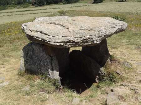 Le dolmen des Pascarets, isolé dans la campagne d'Eyne