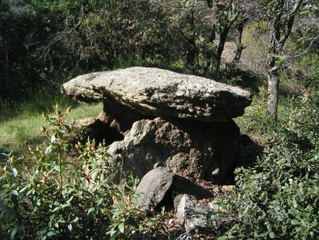 Le dolmen du camp del Prat, sur le territoire de Trilla