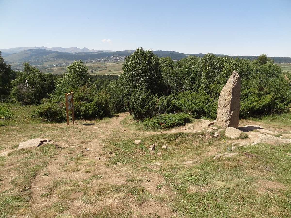 Menhir du Pla del Bosc