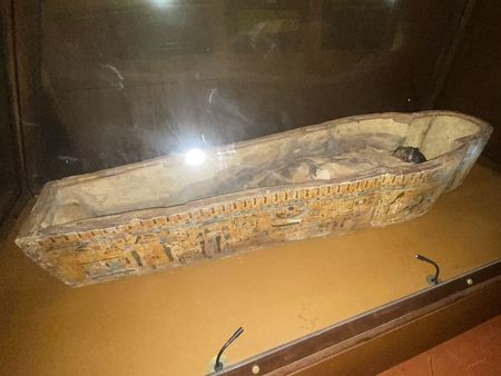 La momie du muséum d'histoire naturelle de Perpignan
