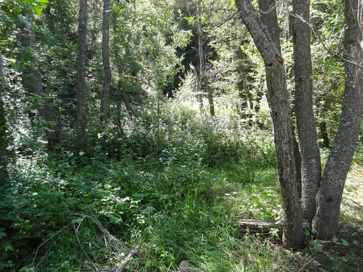 Pont mégalithique d'Eyne