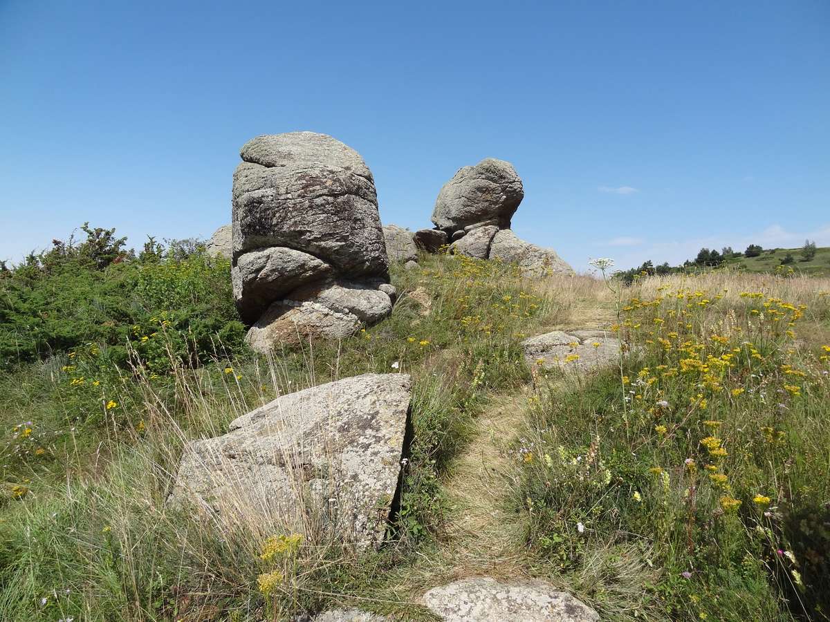 Roche gravée d'Eyne