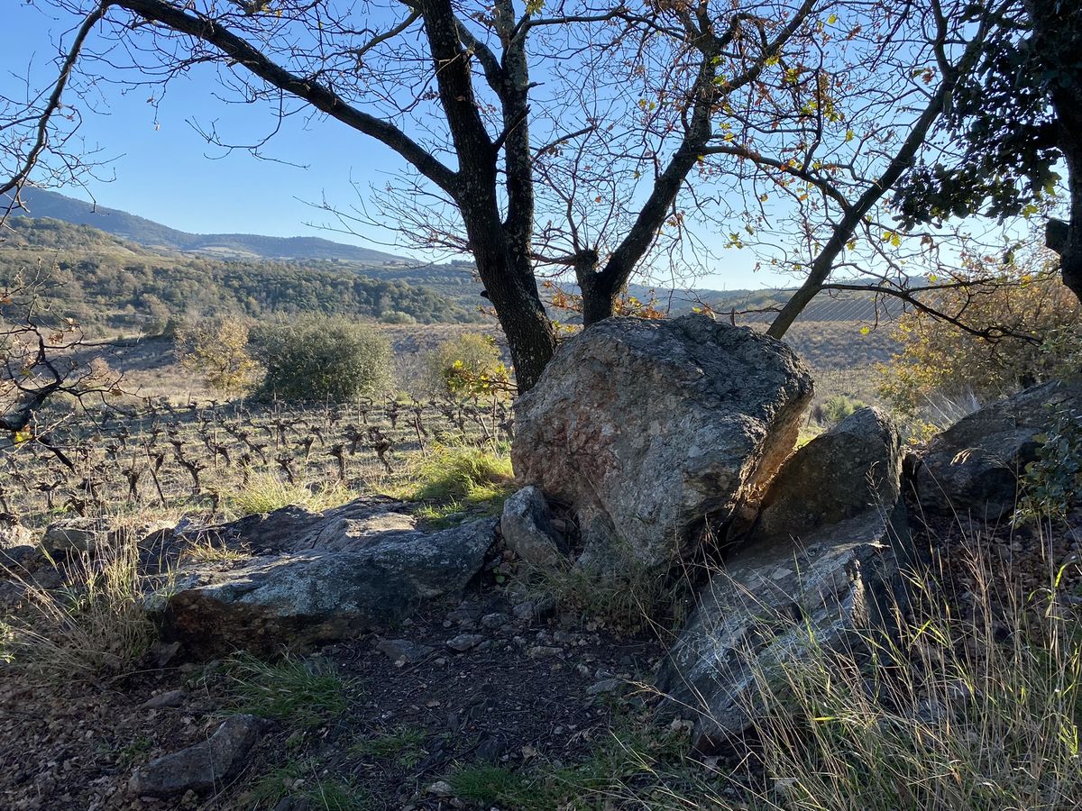 Roque d'En Talou