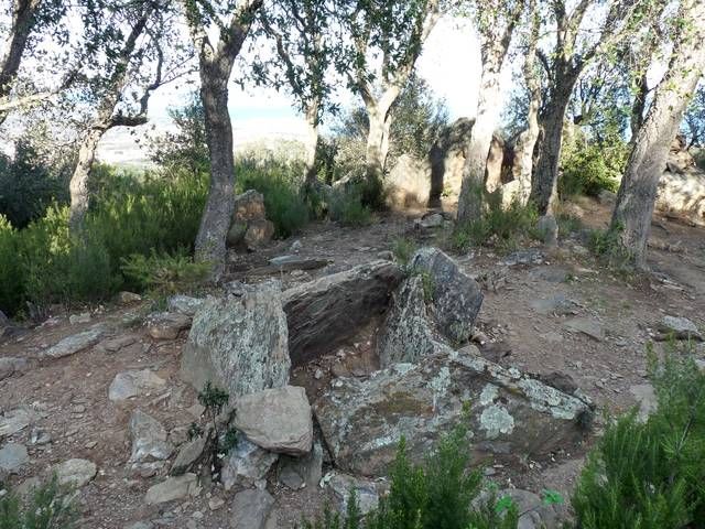 Collet de Collioure