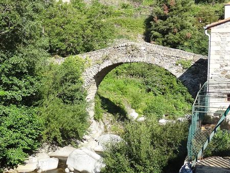 Pont médiéval