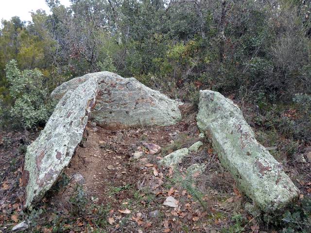 Dolmen de Valltortal