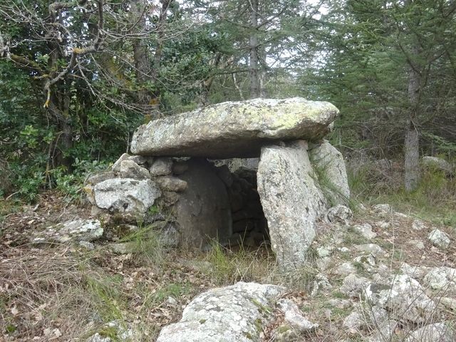 Dolmen du mas Cayenne