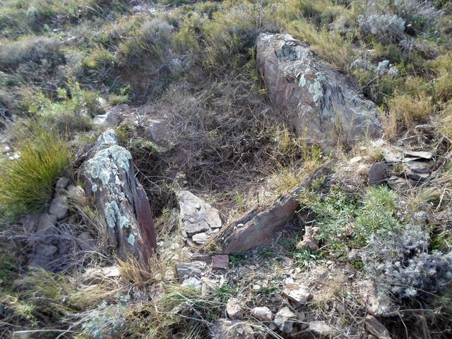 Dolmen de Ramera II