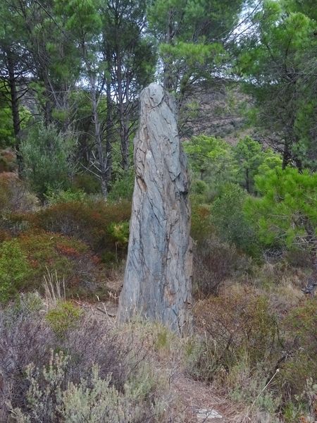 Menhir Sant Salvador