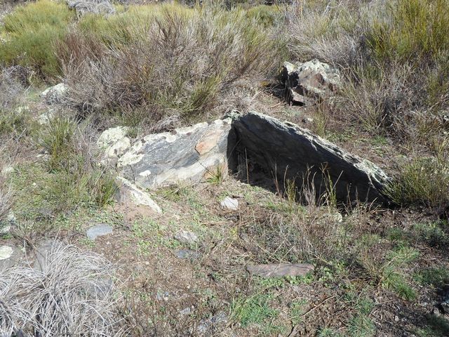 Dolmen de la font de l'Aram