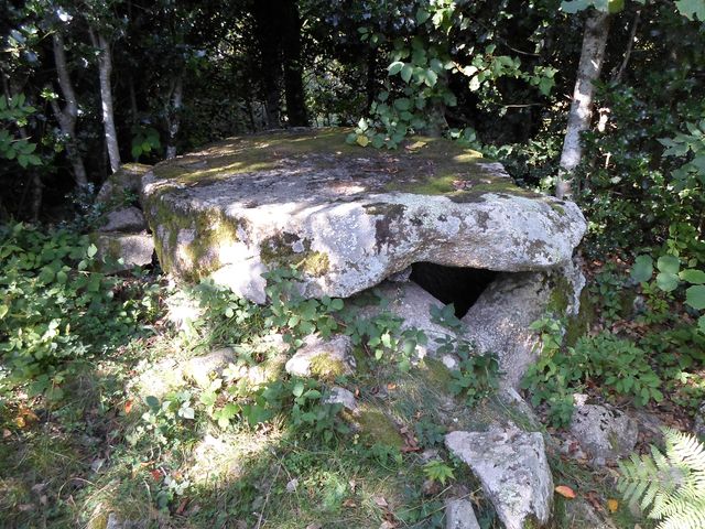 Dolmen du pla de la Castella