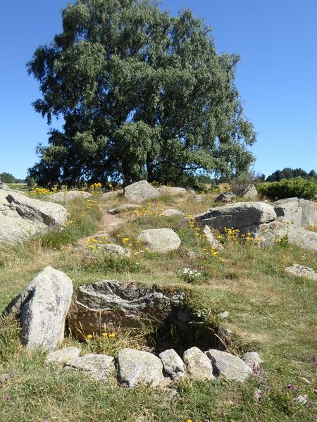 Dolmen Lou Pou