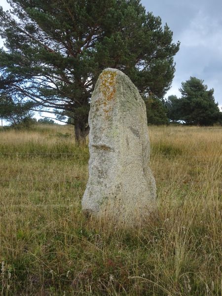 Menhir Font del Sastre