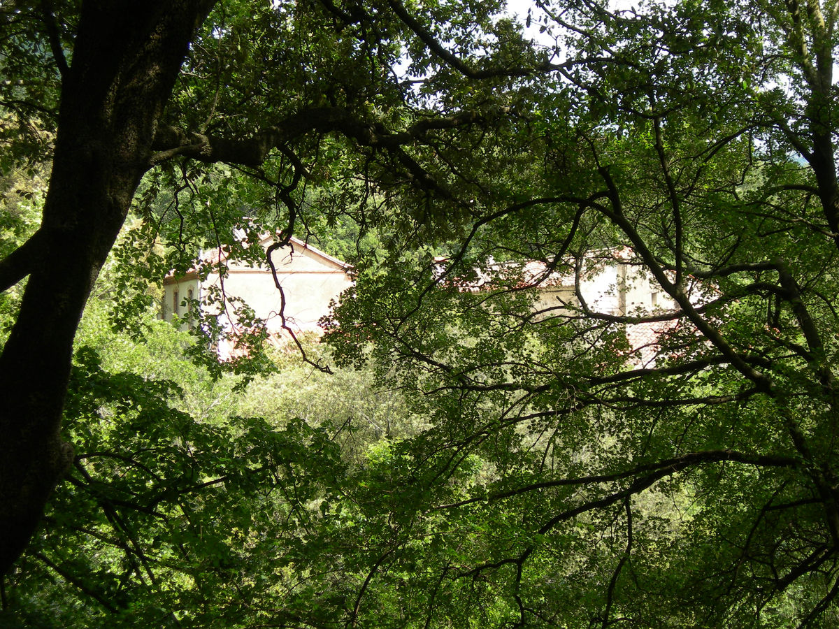 L'Albère