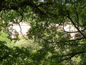 L'Albère