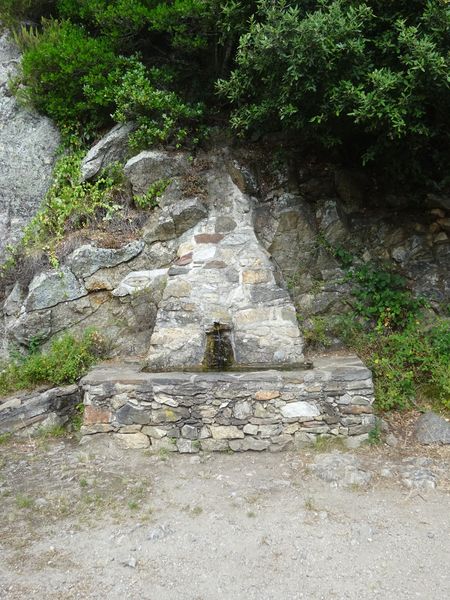 Font de la Vernosa