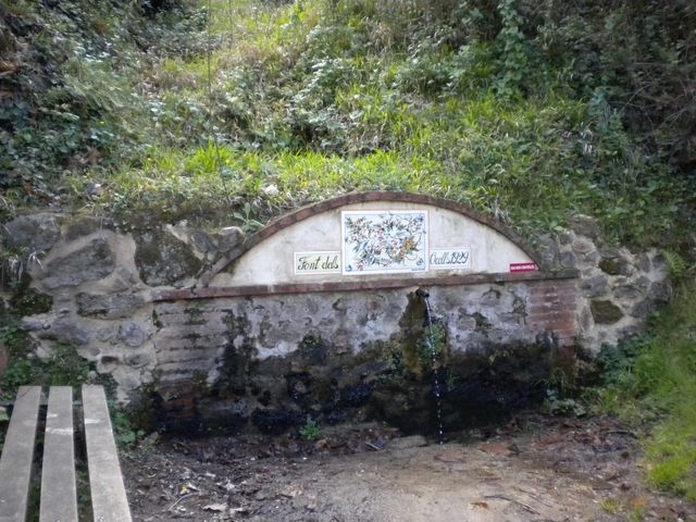 Fontaine des oiseaux