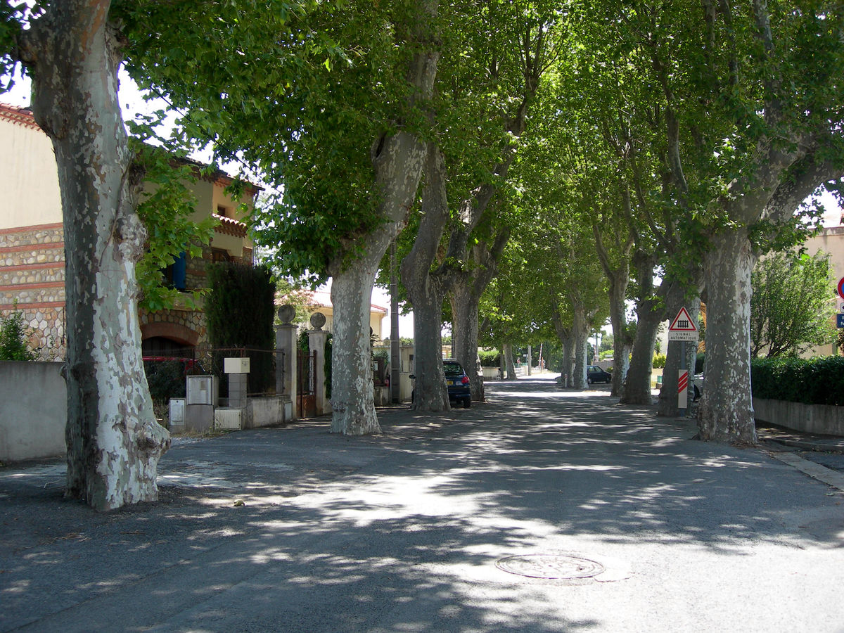 Photos des PyrénéesOrientales