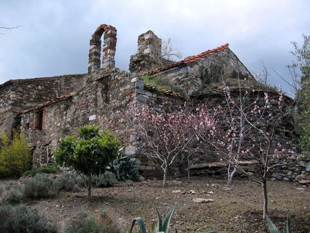 Mas des Abeilles, à Banyuls-sur-Mer.