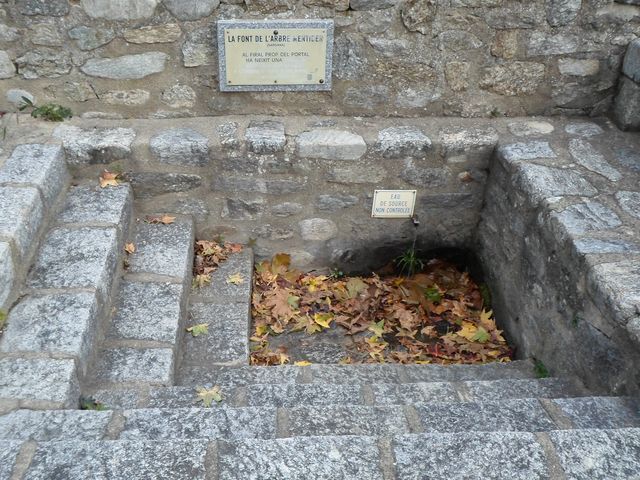 Font de l'arbre