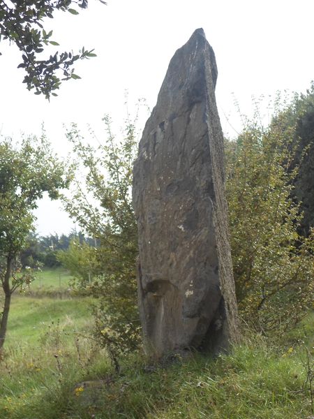 Menhir des fumades