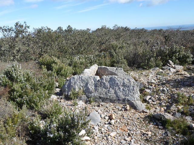 Dolmen Olivar d'En David