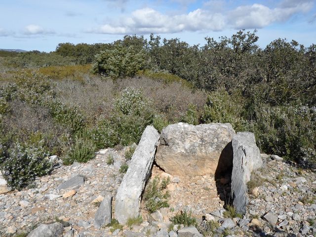 Dolmen Olivar d'En David