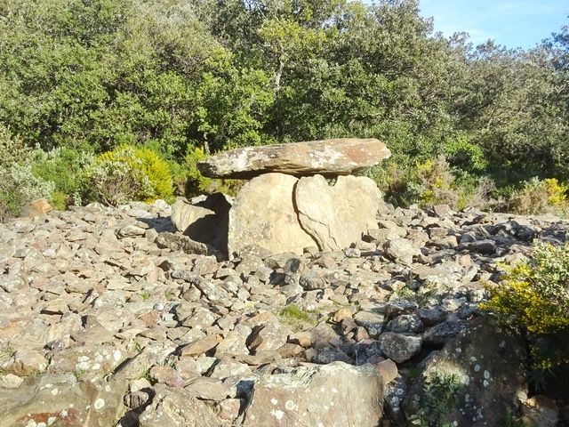 Dolmen du Coll de la Creu