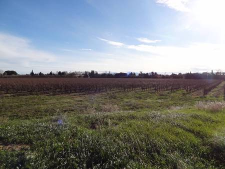 Le village disparu de Tura, sur le territoire de Rivesaltes