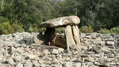 Découvrir les dolmens et menhirs